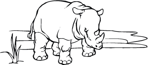 African Rhinoceros Coloring Page